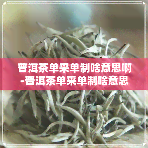 普洱茶单采单制啥意思啊-普洱茶单采单制啥意思啊