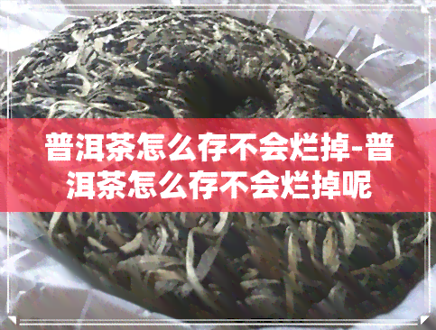 普洱茶怎么存不会烂掉-普洱茶怎么存不会烂掉呢