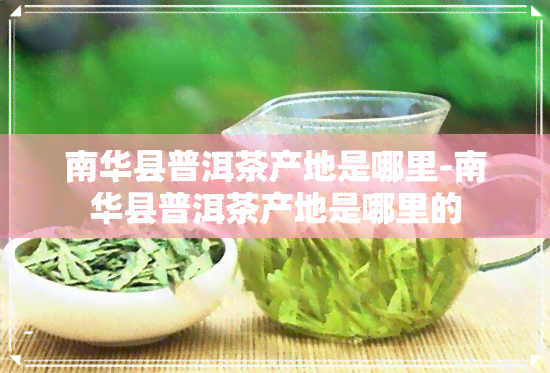 南华县普洱茶产地是哪里-南华县普洱茶产地是哪里的