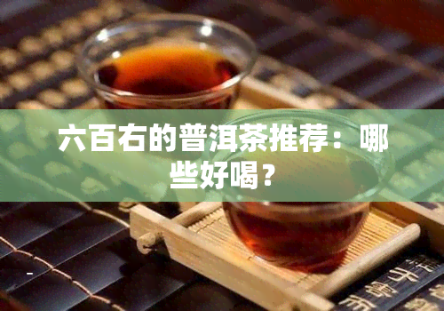 六百右的普洱茶推荐：哪些好喝？