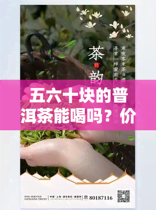 五六十块的普洱茶能喝吗？价格低是否会影响品质与健？