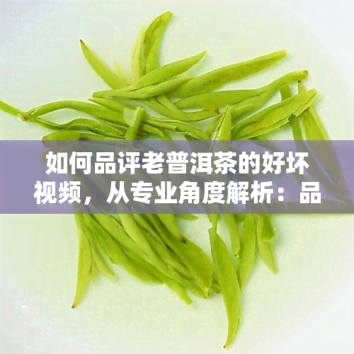 如何品评老普洱茶的好坏视频，从专业角度解析：品评老普洱茶的秘诀与技巧