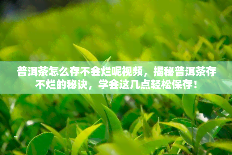 普洱茶怎么存不会烂呢视频，揭秘普洱茶存不烂的秘诀，学会这几点轻松保存！