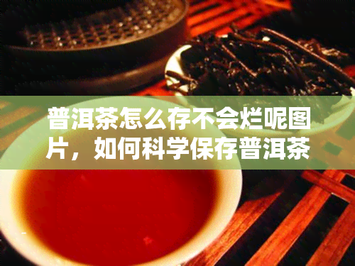 普洱茶怎么存不会烂呢图片，如何科学保存普洱茶，避免茶叶发霉变质？这份图文攻略一定要收藏！