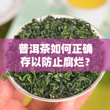 普洱茶如何正确存以防止腐烂？视频、图片全面解析！