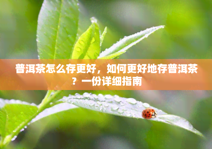 普洱茶怎么存更好，如何更好地存普洱茶？一份详细指南