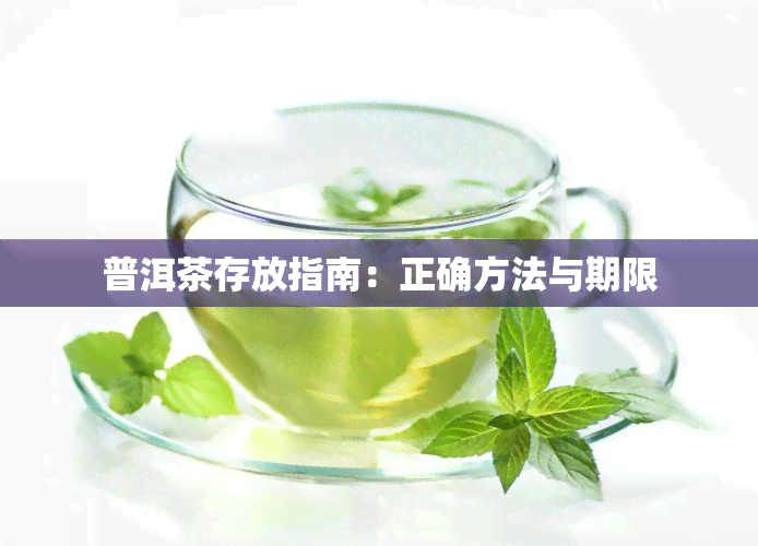 普洱茶存放指南：正确方法与期限