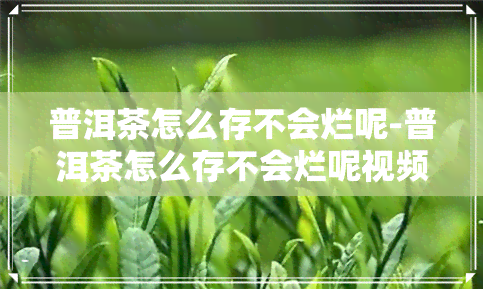 普洱茶怎么存不会烂呢-普洱茶怎么存不会烂呢视频