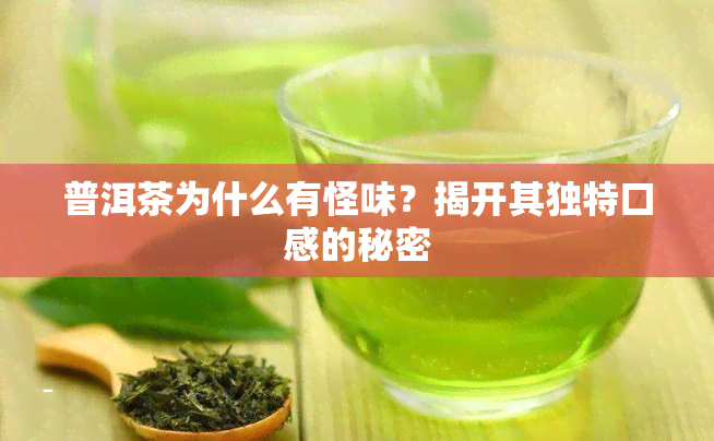 普洱茶为什么有怪味？揭开其独特口感的秘密