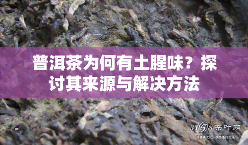 普洱茶为何有土腥味？探讨其来源与解决方法