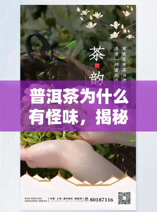 普洱茶为什么有怪味，揭秘：普洱茶为何会有奇特的味道？