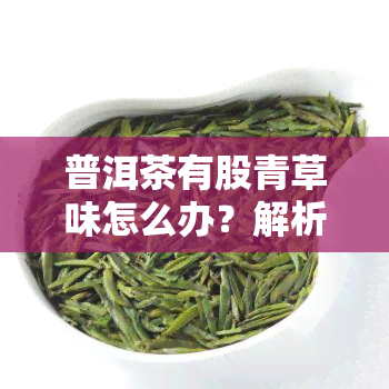 普洱茶有股青草味怎么办？解析新茶、熟茶的青草味原因与解决方法