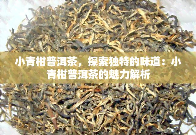 小青柑普洱茶，探索独特的味道：小青柑普洱茶的魅力解析