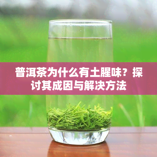 普洱茶为什么有土腥味？探讨其成因与解决方法