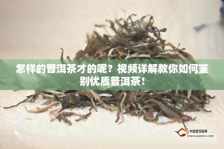 怎样的普洱茶才的呢？视频详解教你如何鉴别优质普洱茶！