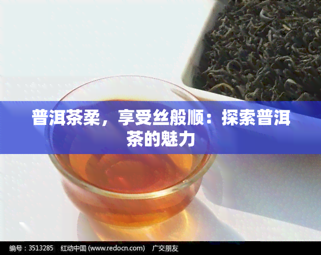 普洱茶柔，享受丝般顺：探索普洱茶的魅力