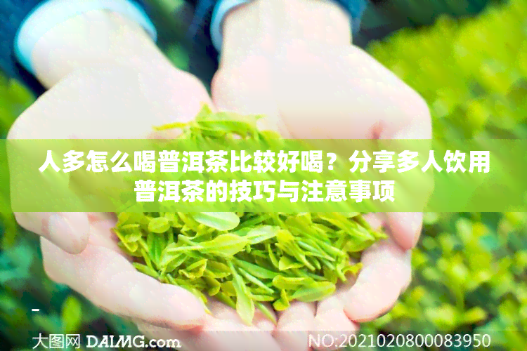 人多怎么喝普洱茶比较好喝？分享多人饮用普洱茶的技巧与注意事项