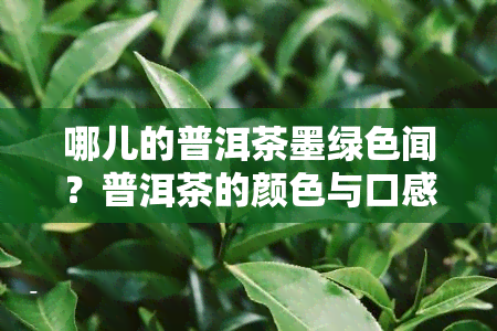 哪儿的普洱茶墨绿色闻？普洱茶的颜色与口感是什么？