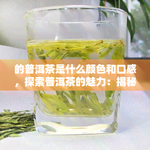 的普洱茶是什么颜色和口感，探索普洱茶的魅力：揭秘色泽与口感的秘密