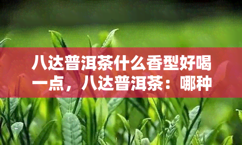 八达普洱茶什么香型好喝一点，八达普洱茶：哪种香型口感更胜一筹？