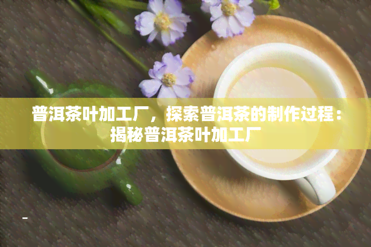 普洱茶叶加工厂，探索普洱茶的制作过程：揭秘普洱茶叶加工厂