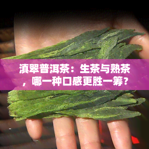 滇翠普洱茶：生茶与熟茶，哪一种口感更胜一筹？