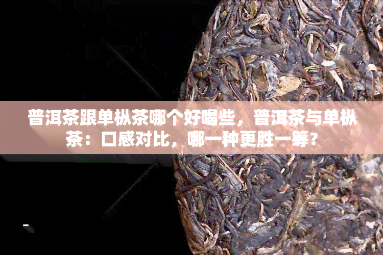 普洱茶跟单枞茶哪个好喝些，普洱茶与单枞茶：口感对比，哪一种更胜一筹？