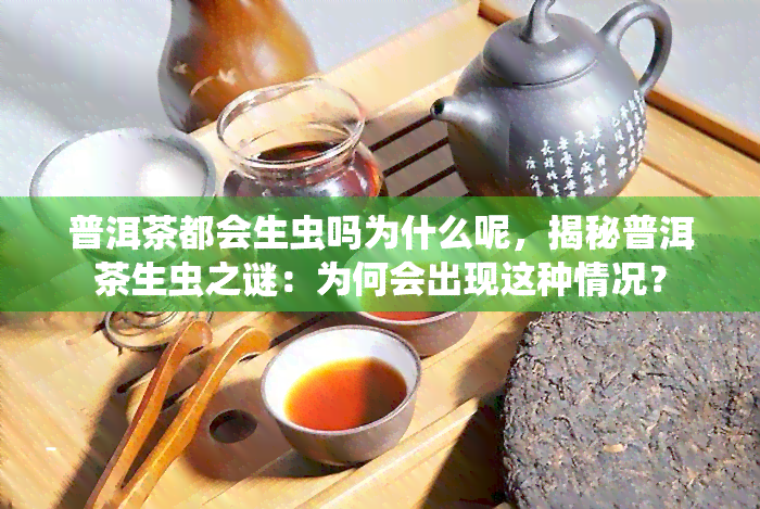 普洱茶都会生虫吗为什么呢，揭秘普洱茶生虫之谜：为何会出现这种情况？