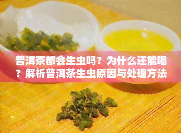 普洱茶都会生虫吗？为什么还能喝？解析普洱茶生虫原因与处理方法