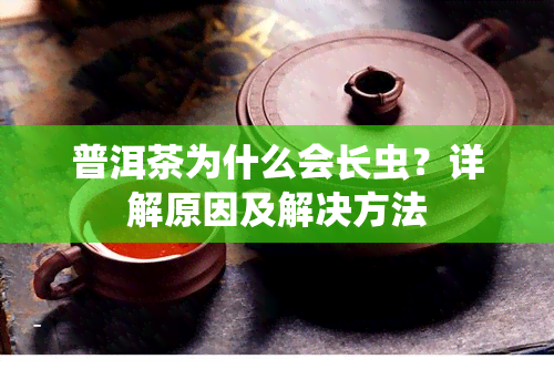 普洱茶为什么会长虫？详解原因及解决方法