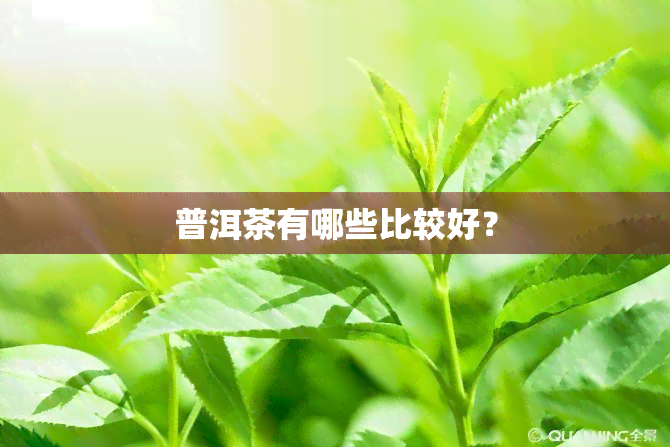 普洱茶有哪些比较好？