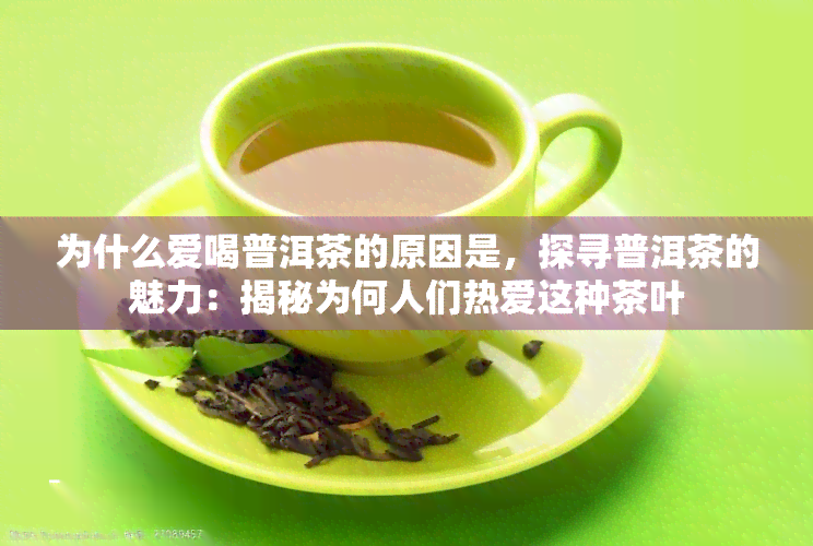 为什么爱喝普洱茶的原因是，探寻普洱茶的魅力：揭秘为何人们热爱这种茶叶