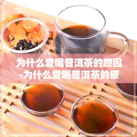 为什么爱喝普洱茶的原因-为什么爱喝普洱茶的原因有哪些