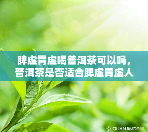 脾虚胃虚喝普洱茶可以吗，普洱茶是否适合脾虚胃虚人群饮用？