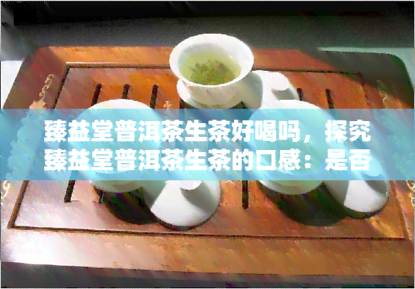 臻益堂普洱茶生茶好喝吗，探究臻益堂普洱茶生茶的口感：是否值得一试？