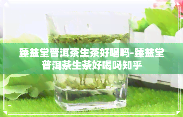 臻益堂普洱茶生茶好喝吗-臻益堂普洱茶生茶好喝吗知乎