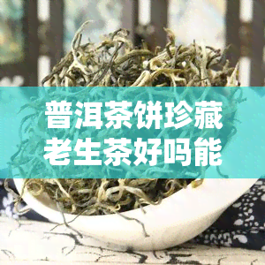 普洱茶饼珍藏老生茶好吗能喝吗，普洱茶饼珍藏老生茶：品质保证，值得收藏和品尝！