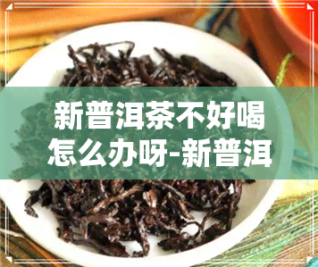 新普洱茶不好喝怎么办呀-新普洱茶不好喝怎么办呀视频