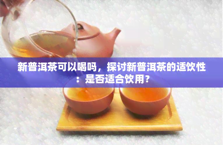 新普洱茶可以喝吗，探讨新普洱茶的适饮性：是否适合饮用？