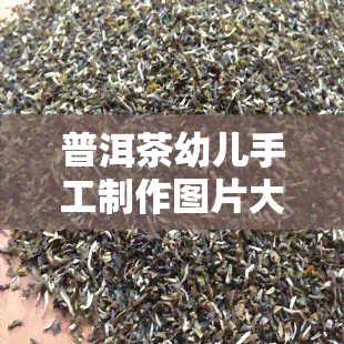 普洱茶幼儿手工制作图片大全：简单易学教程全集