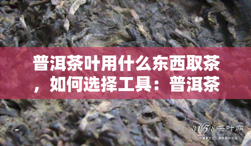 普洱茶叶用什么东西取茶，如何选择工具：普洱茶叶的取茶方法