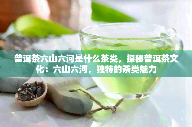 普洱茶六山六河是什么茶类，探秘普洱茶文化：六山六河，独特的茶类魅力