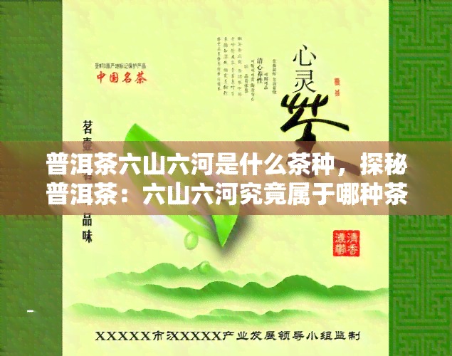 普洱茶六山六河是什么茶种，探秘普洱茶：六山六河究竟属于哪种茶种？