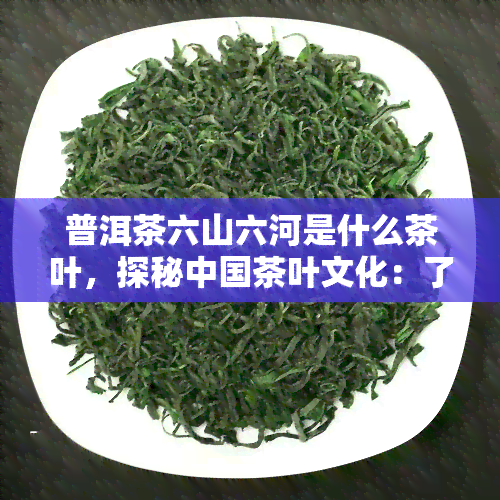 普洱茶六山六河是什么茶叶，探秘中国茶叶文化：了解普洱茶六山六河的由来与特点