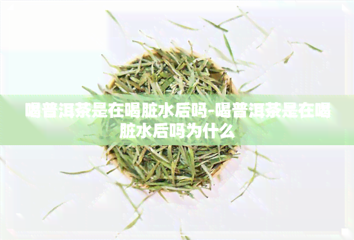 喝普洱茶是在喝脏水后吗-喝普洱茶是在喝脏水后吗为什么