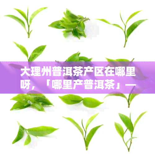 大理州普洱茶产区在哪里呀，「哪里产普洱茶」—— 大理州普洱茶产区介绍