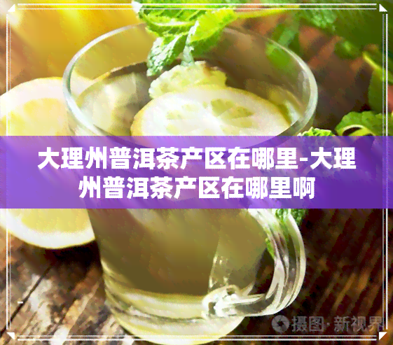 大理州普洱茶产区在哪里-大理州普洱茶产区在哪里啊