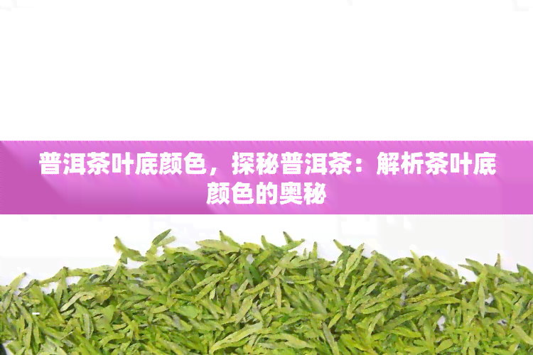 普洱茶叶底颜色，探秘普洱茶：解析茶叶底颜色的奥秘