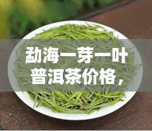 勐海一芽一叶普洱茶价格，探寻优质口感：勐海一芽一叶普洱茶价格全解析