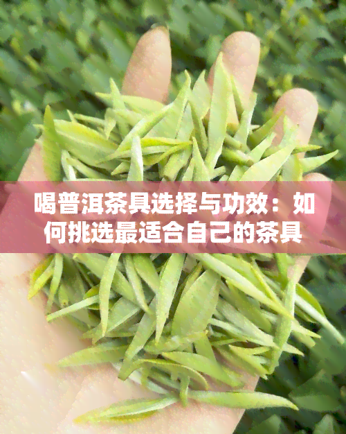 喝普洱茶具选择与功效：如何挑选最适合自己的茶具？